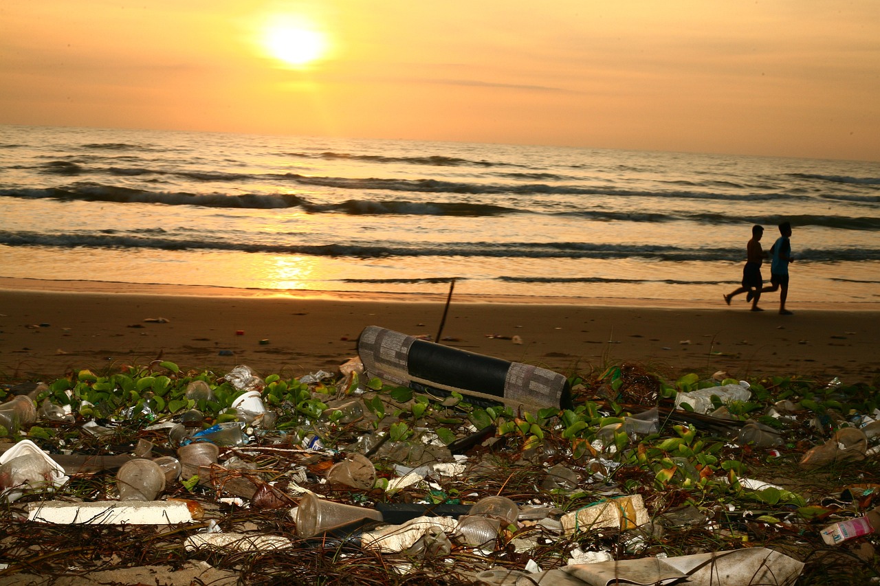 The Environmental Impact of the Cosmetics Industry